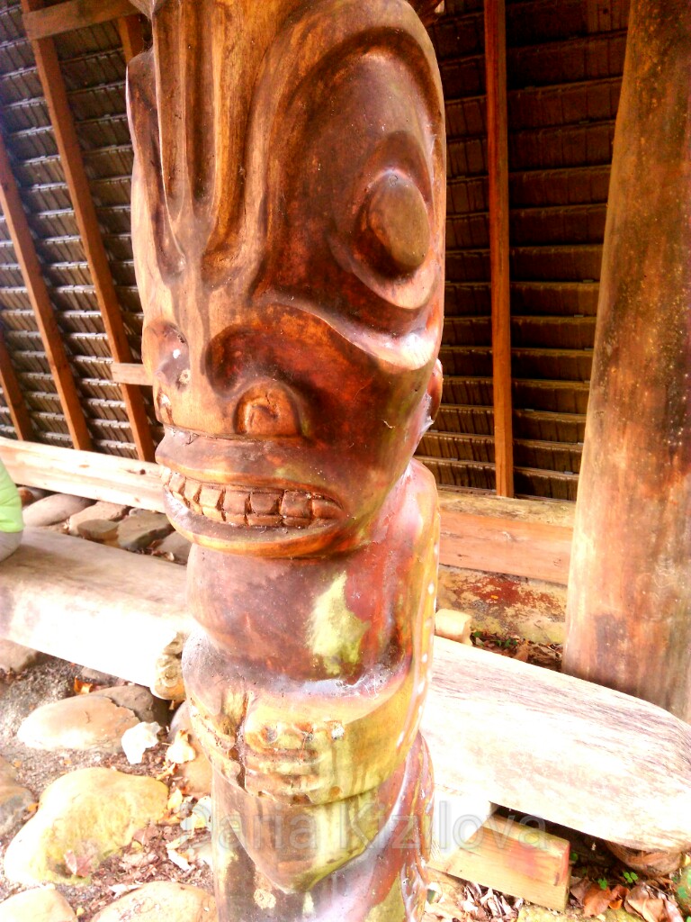 Maori Tradiciones