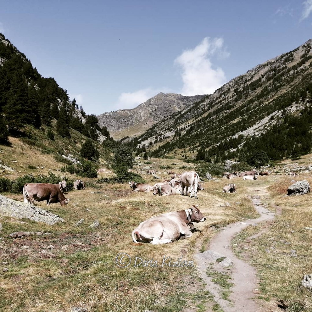 Naturaleza de Andorra