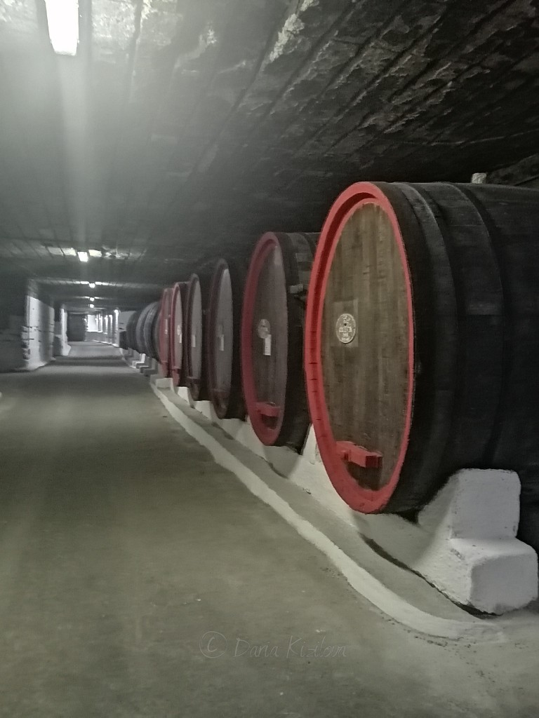 Wine Caves of Winery