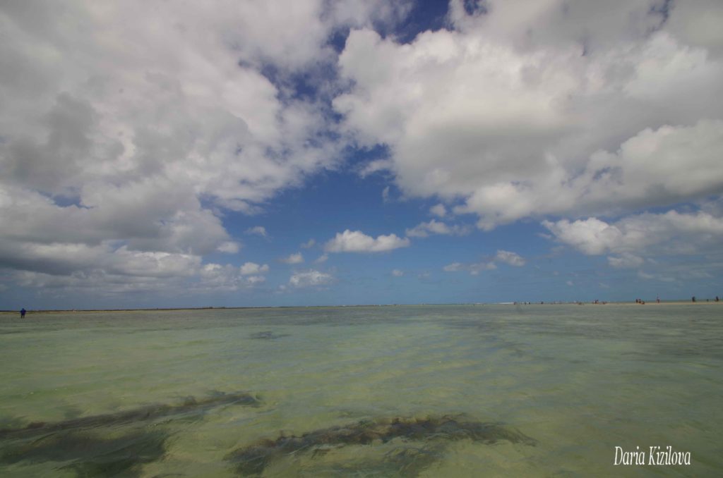 Brasil Oceano Playas