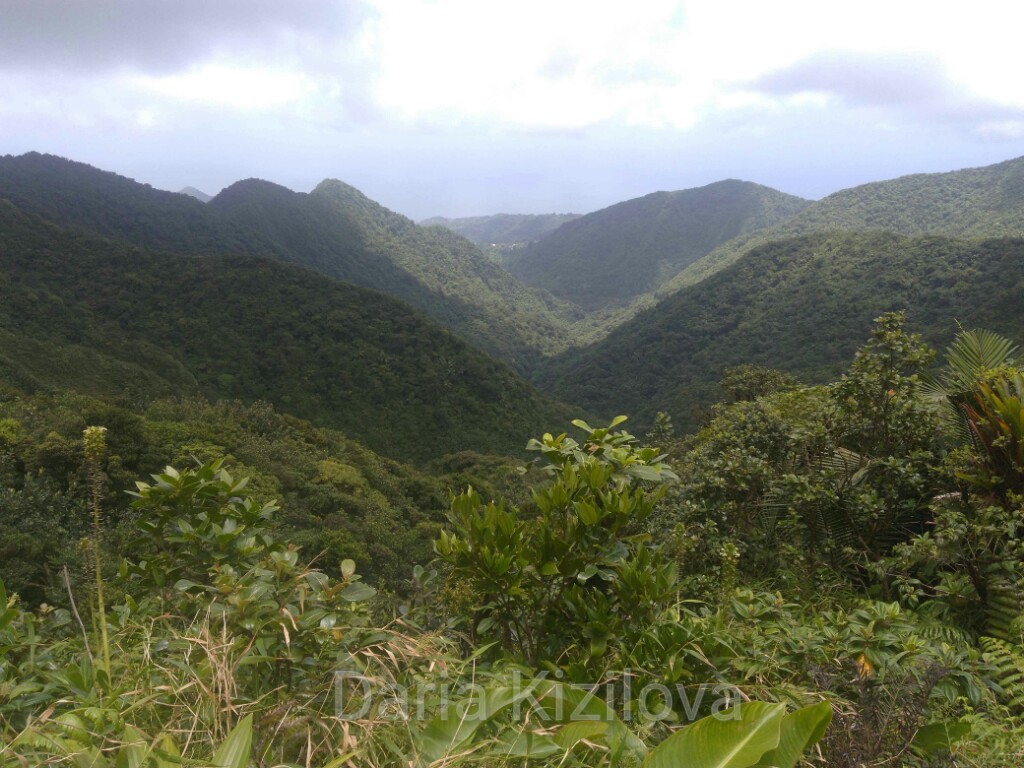 Mountains of Dominica