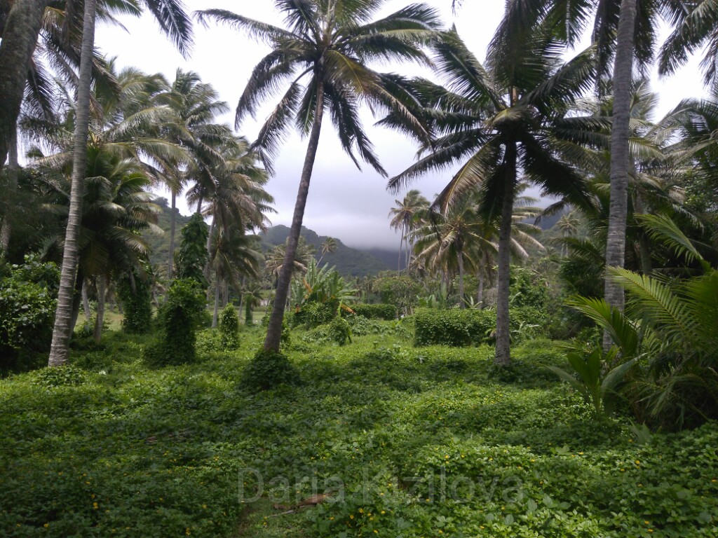 Islas Cook Rarotonga