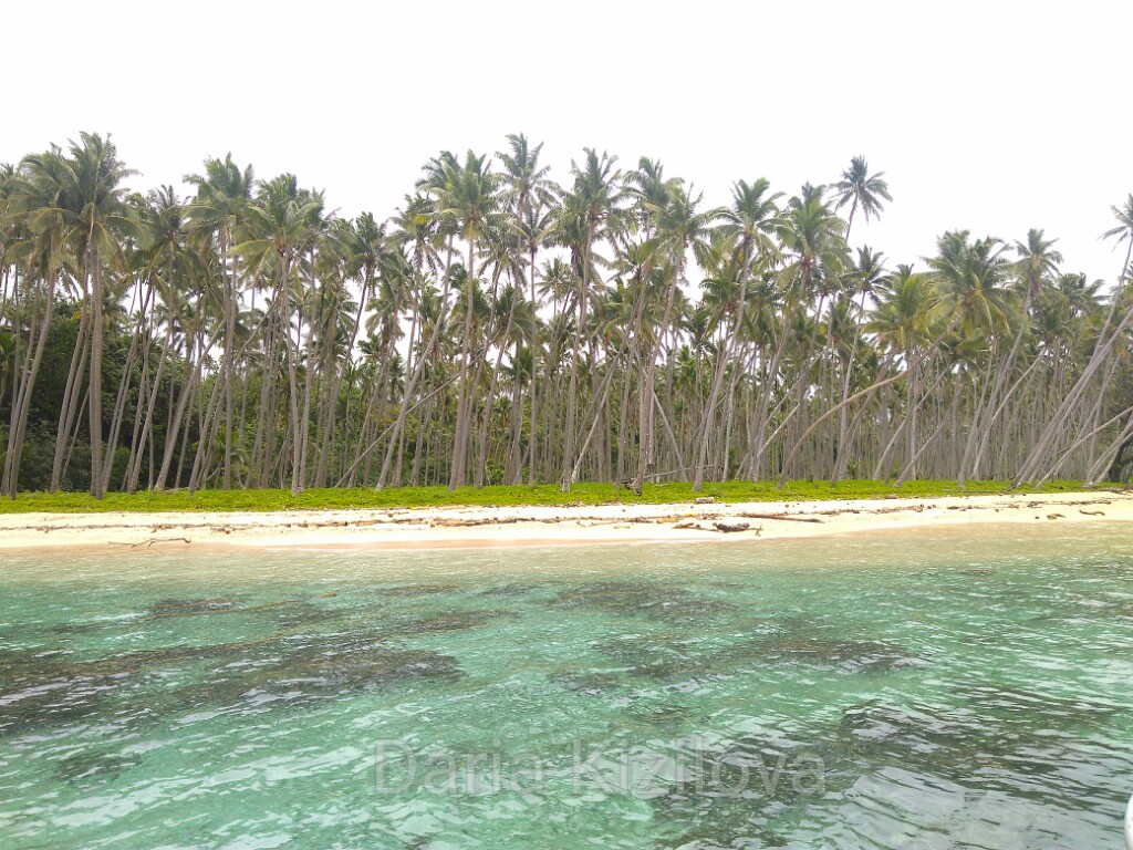 Fiji Playas