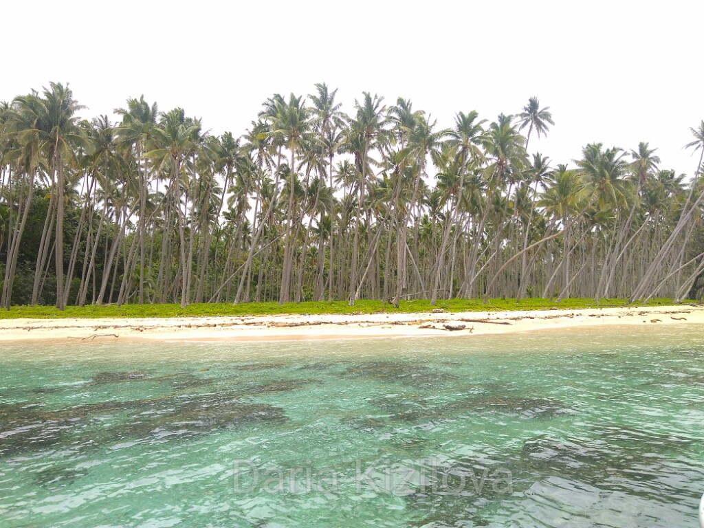 Taveuni Island