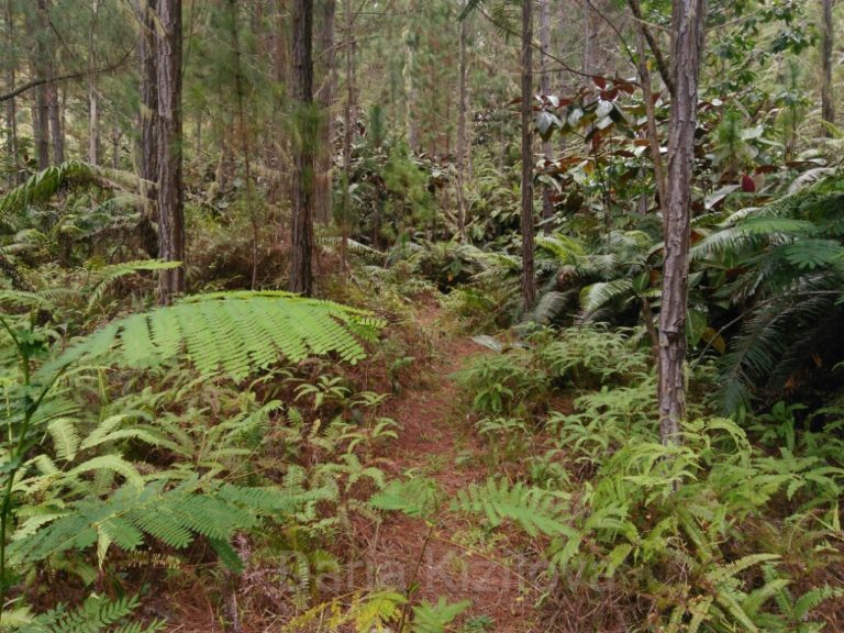 Tahiti vs Haiti, Cost of Living in Tahiti and Haiti Tour Exótico