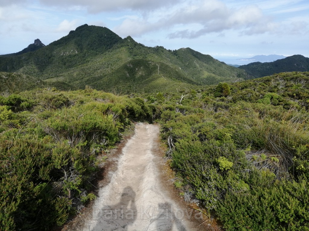 Montañas en Nueva Zelanda