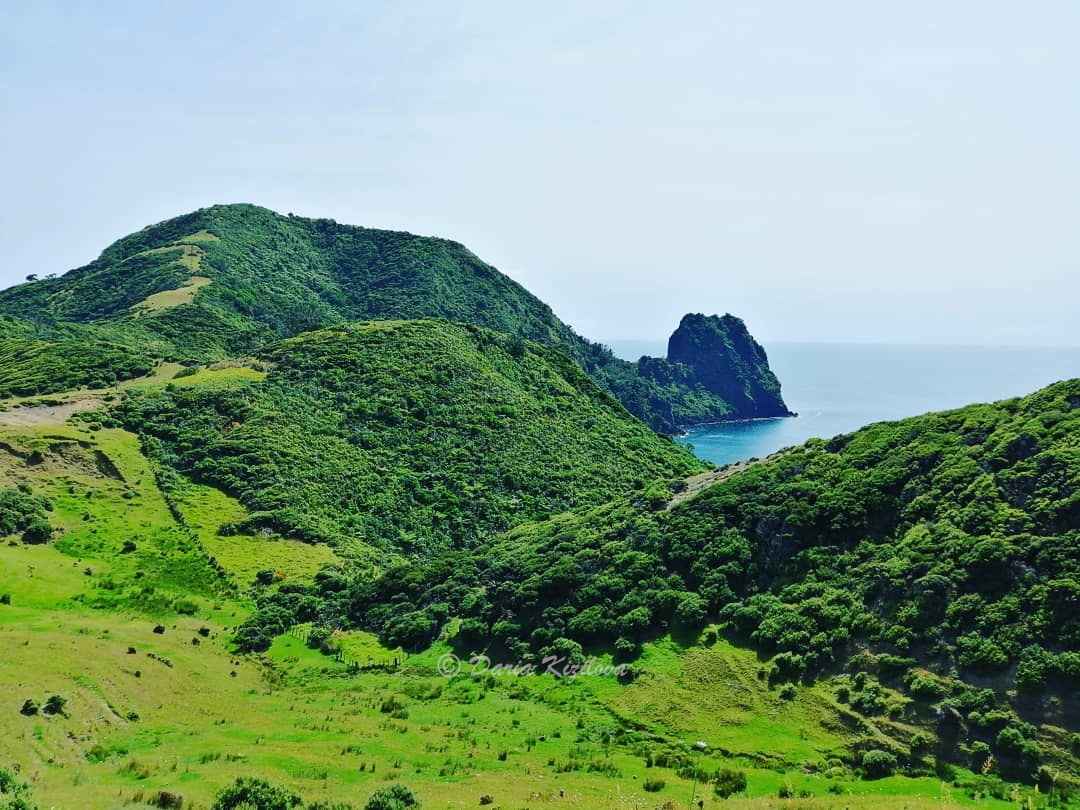 Naturaleza de Nueva Zelanda