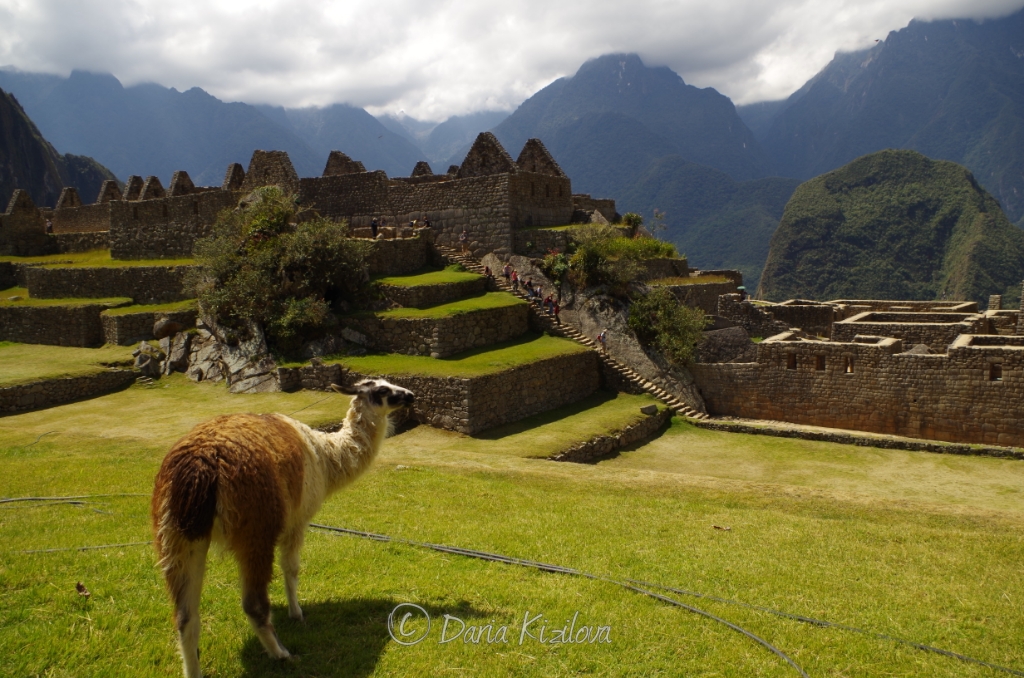 Machu Picchu