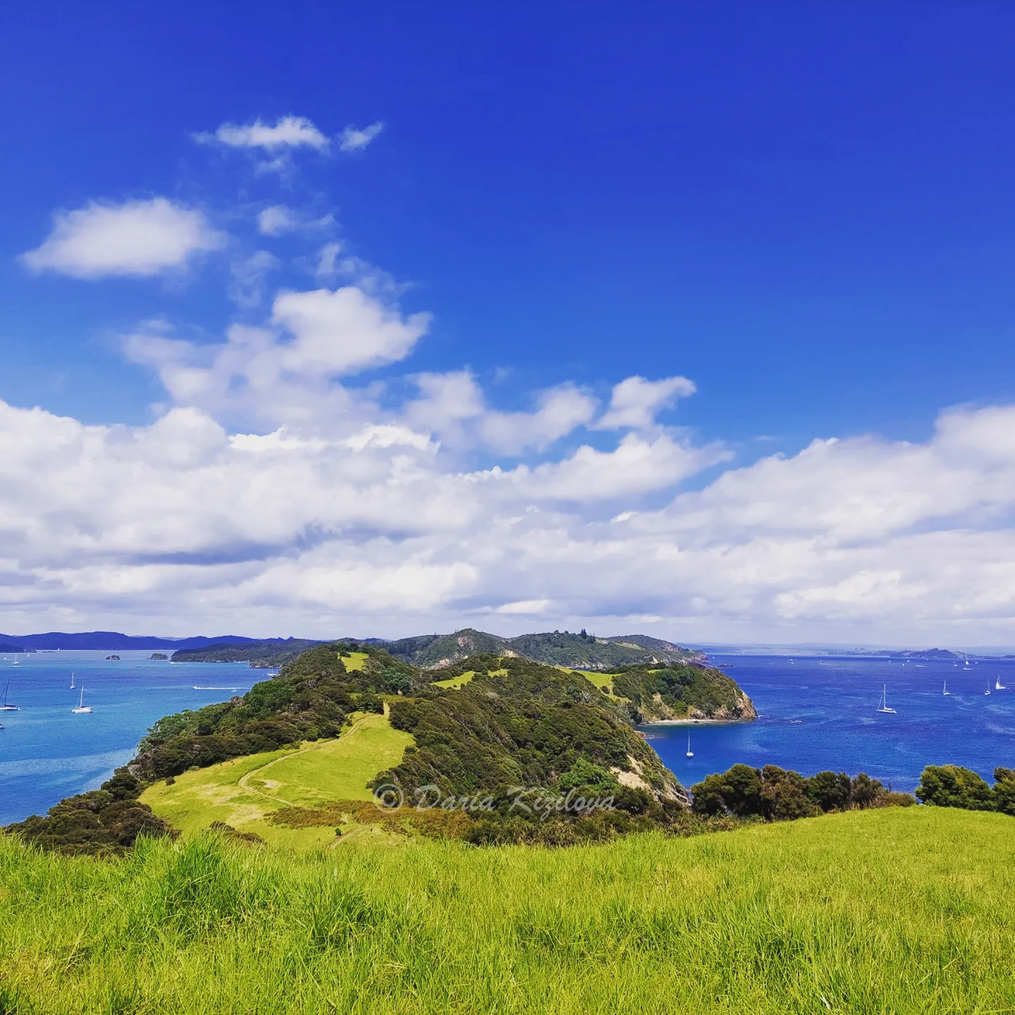 New Zealand Island Beauty